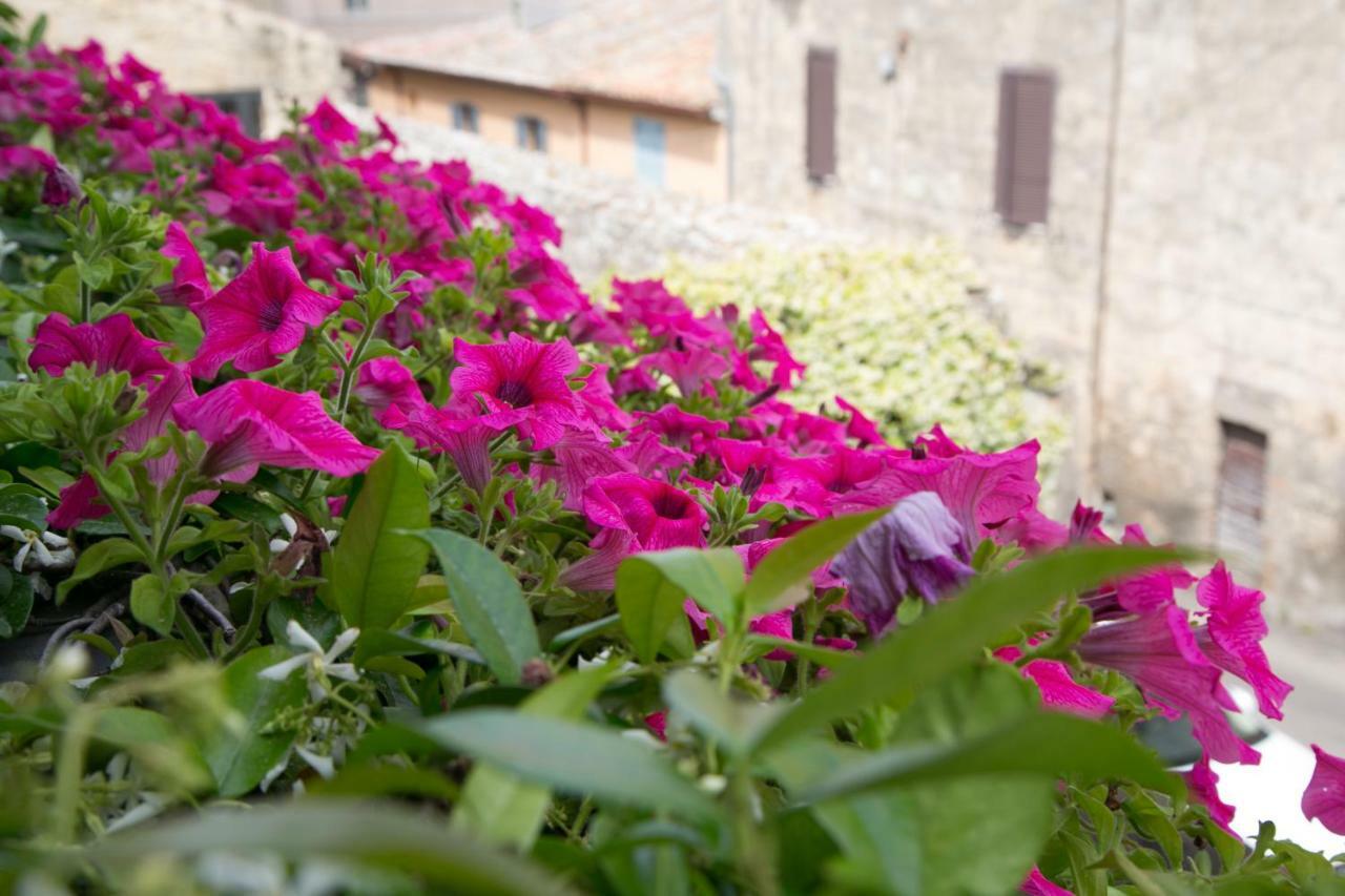 B&B Antiche Mura Tarquinia Exterior foto
